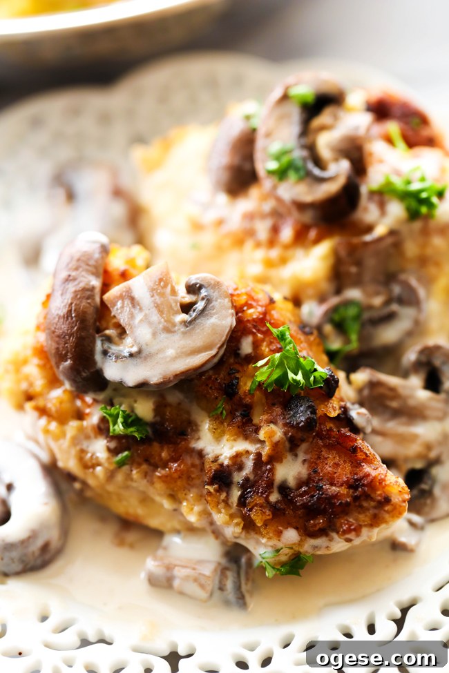 Creamy Pan-Fried Mushroom Chicken Recipe for Weeknight Dinner 4 Pan-Fried Creamy Mushroom Chicken