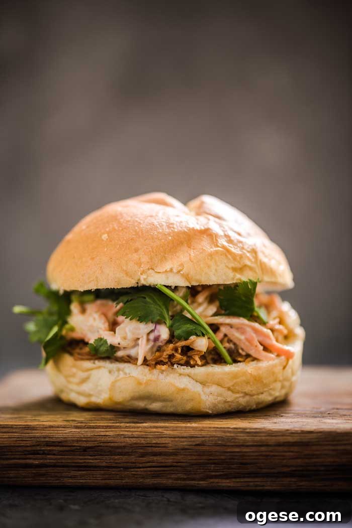 BBQ pulled pork sandwich