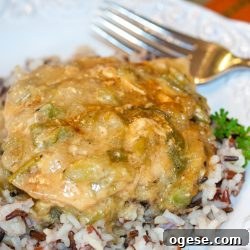 Chicken with chili cream sauce on a bed of rice on a white plate. There is a fork at the top of the plate.