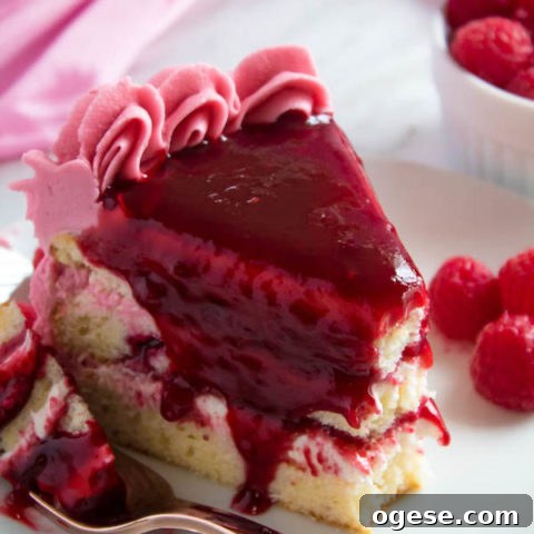 This Vanilla Raspberry Cake has moist and fluffy layers of vanilla cake. Between those layers is a vanilla buttercream with a raspberry sauce. Decorated with a raspberry and vanilla buttercream watercolour design, raspberry buttercream border, garnished with fresh raspberries and more raspberry sauce in the middle.