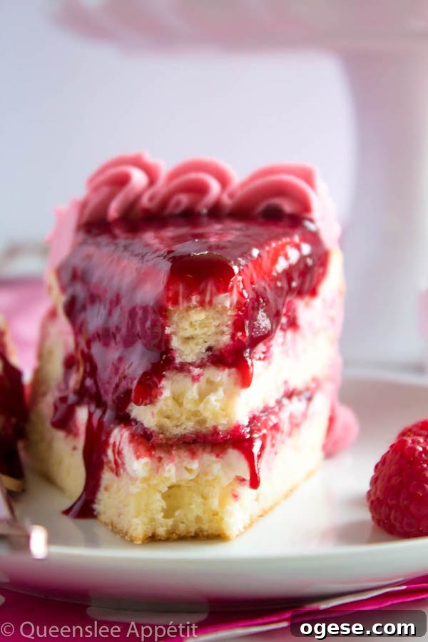 This Vanilla Raspberry Cake has moist and fluffy layers of vanilla cake. Between those layers is a vanilla buttercream with a raspberry sauce. Decorated with a raspberry and vanilla buttercream watercolour design, raspberry buttercream border, garnished with fresh raspberries and more raspberry sauce in the middle.