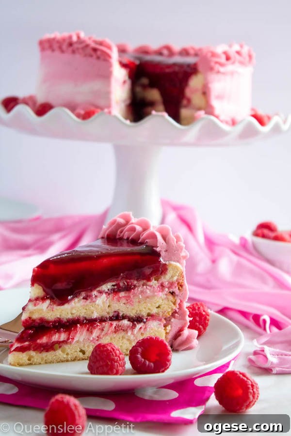 This Vanilla Raspberry Cake has moist and fluffy layers of vanilla cake. Between those layers is a vanilla buttercream with a raspberry sauce. Decorated with a raspberry and vanilla buttercream watercolour design, raspberry buttercream border, garnished with fresh raspberries and more raspberry sauce in the middle.