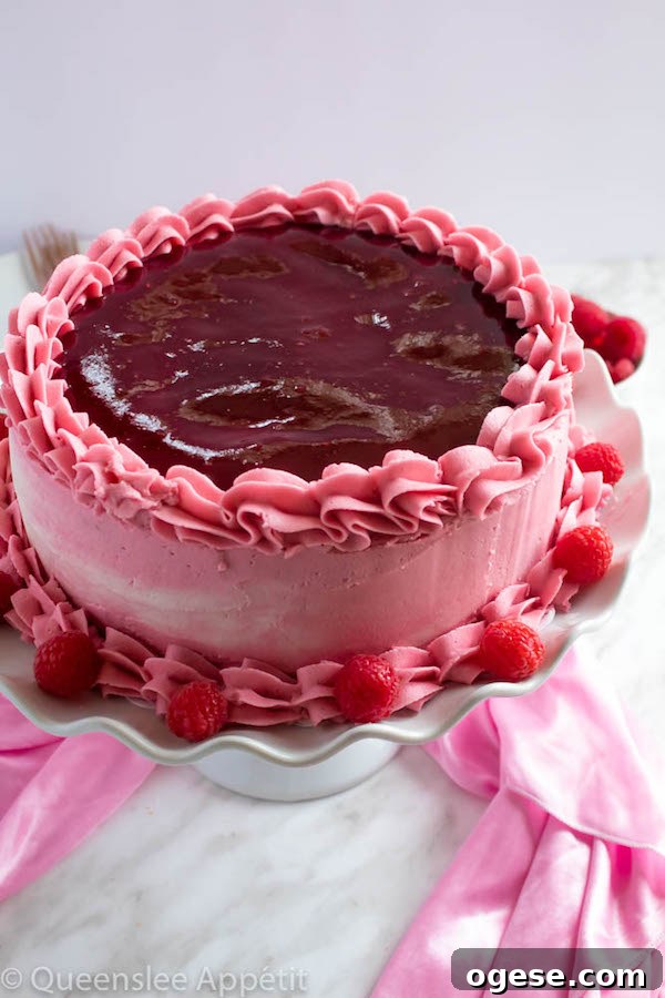 This Vanilla Raspberry Cake has moist and fluffy layers of vanilla cake. Between those layers is a vanilla buttercream with a raspberry sauce. Decorated with a raspberry and vanilla buttercream watercolour design, raspberry buttercream border, garnished with fresh raspberries and more raspberry sauce in the middle.