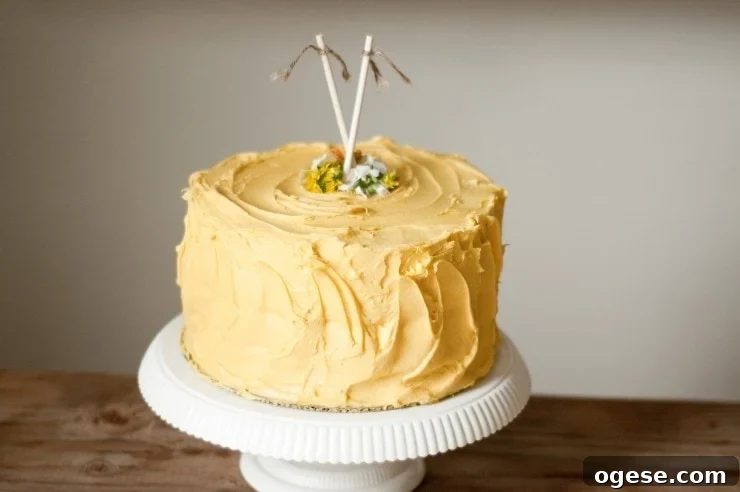 Classic Yellow Birthday Cake Recipe for Moist, Fluffy Cake 2 Yellow Cake Recipe | sophisticatedgourmet.com