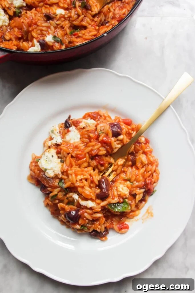 15-Minute Super Green Rigatoni Recipe for Quick Weeknight Dinner 14 Tomato orzotto on a white plate with pan of more orzo in the background.