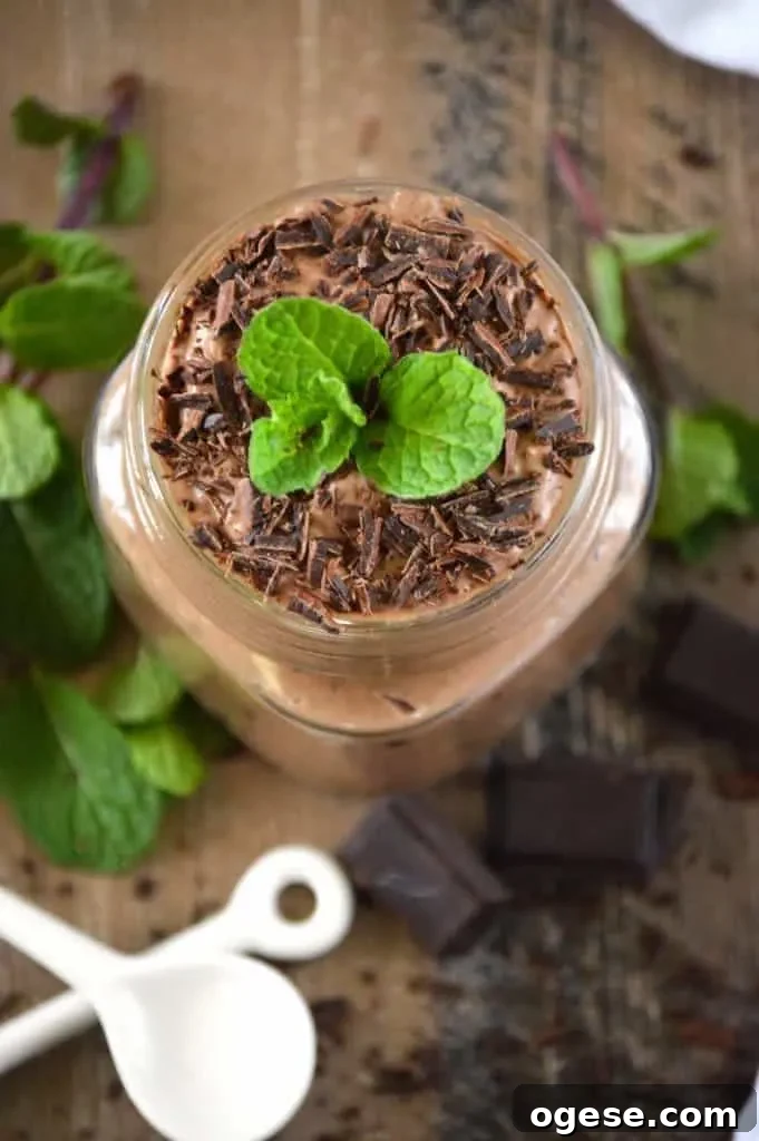 Mint Chocolate Chia Seed Pudding from What The Fork Food Blog