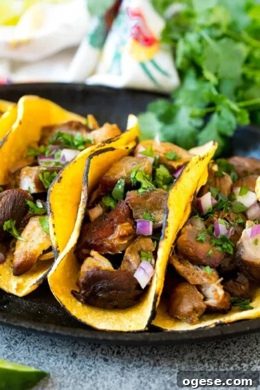 Slow cooker carnitas tacos filled with meat, onions and cilantro.
