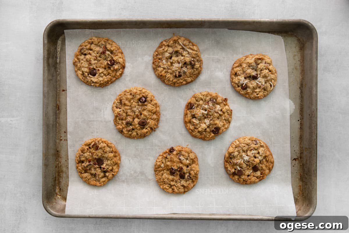 Hearty Cowboy Cookie Recipe with Oats, Chocolate & Nuts 10 cookies arranged on a baking tray