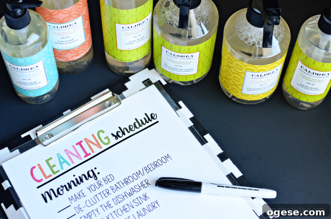 Printable Cleaning Schedule - simple way to keep on top of daily chores. Use a dry erase marker to check each item off each day.