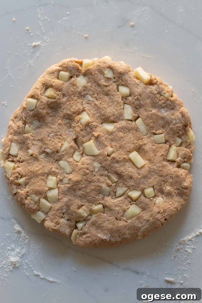 Apple Cinnamon Scones with Crunchy Cinnamon Topping 5 round disc of apple cinnamon scone dough