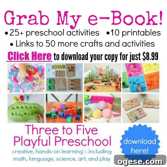 Three to Five Playful Preschool e-book