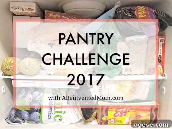 Pantry Challenge 2017: Getting Started + Free Printable Guide 2 Pantry Challenge 2017 with Free Printable - Save a little coin and reduce waste by using food from your pantry, refrigerator & freezer.