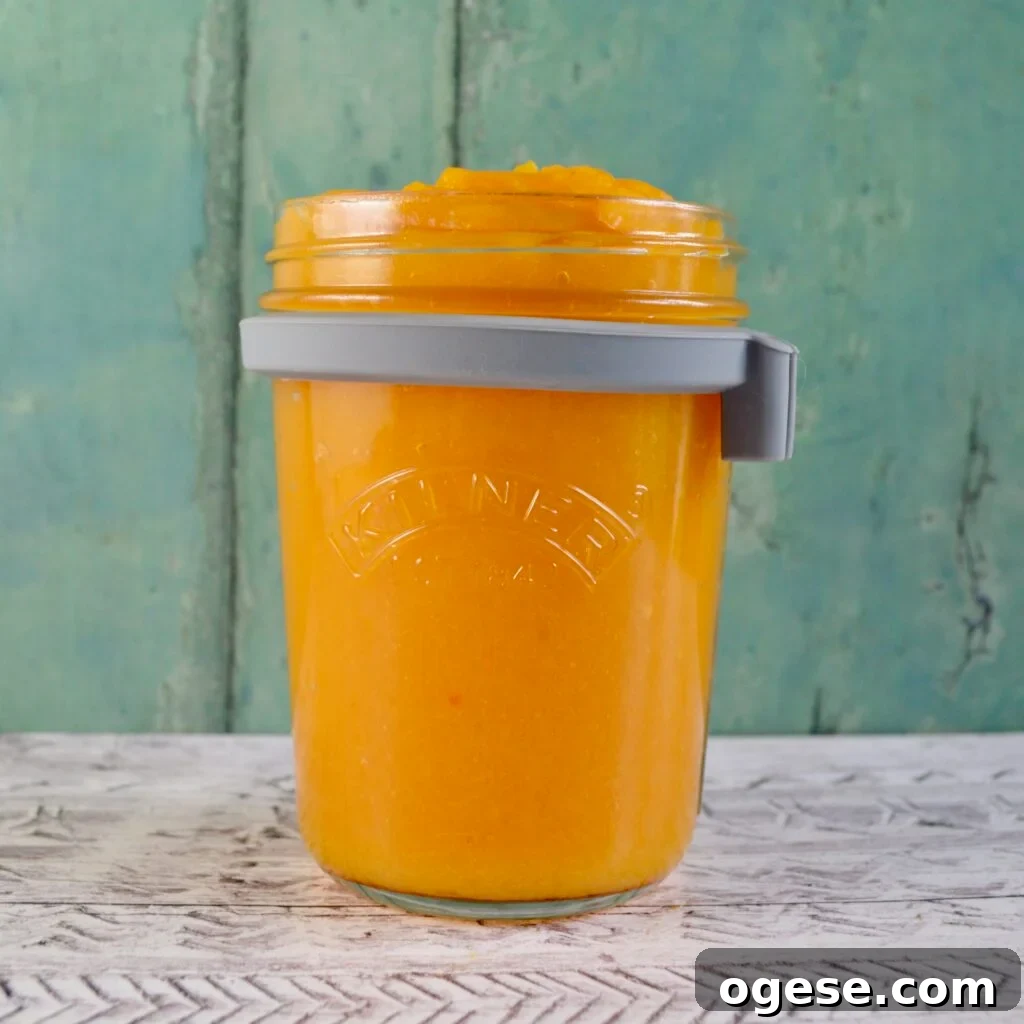 10 Gluten- and Dairy-Free Pumpkin Recipes You’ll Love 2 pumpkin puree