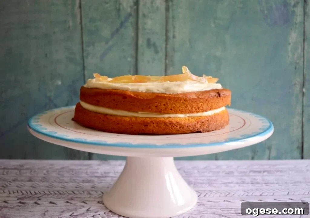 10 Gluten- and Dairy-Free Pumpkin Recipes You’ll Love 3 pumpkin spiced cake