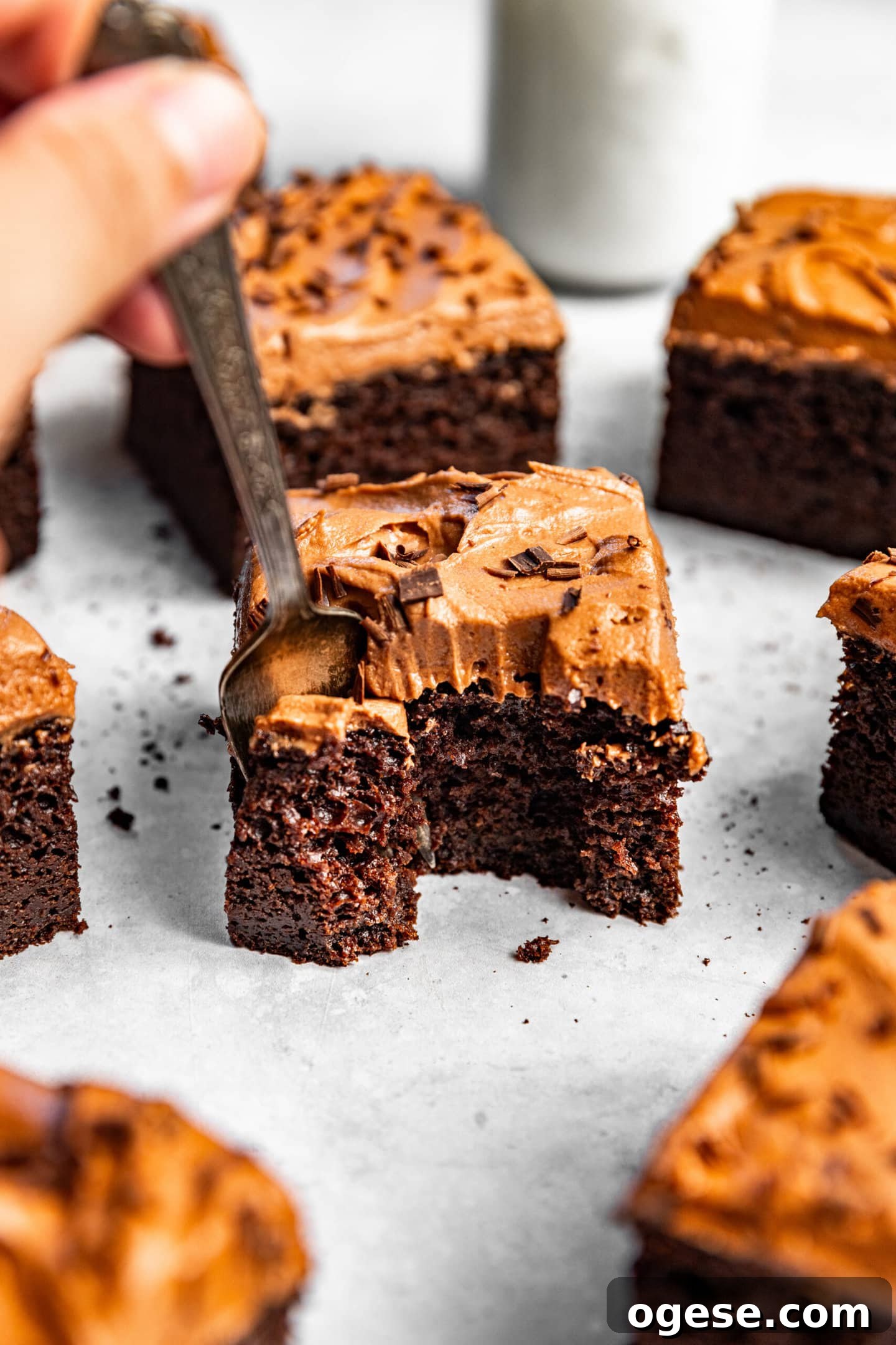 Chocolate fudge buttercream on top of moist chocolate snack cake.
