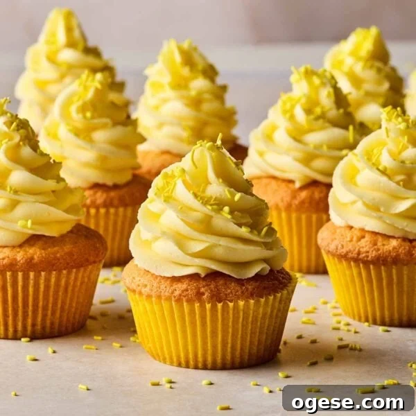 Lemon cupcakes from a side angle, with rows of finished ones ready to eat.