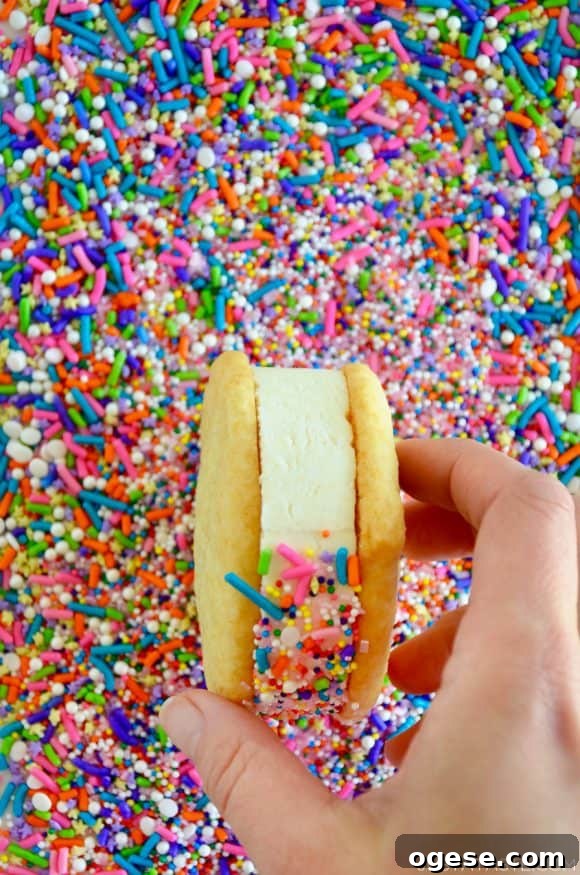 A close-up shot of a cookie ice cream sandwich being rolled in sprinkles