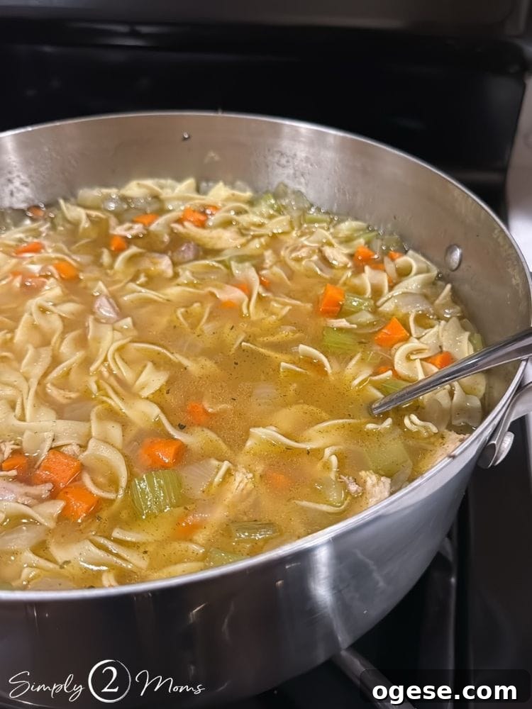 Large stainless steel stockpot of homemade turkey noodle soup.
