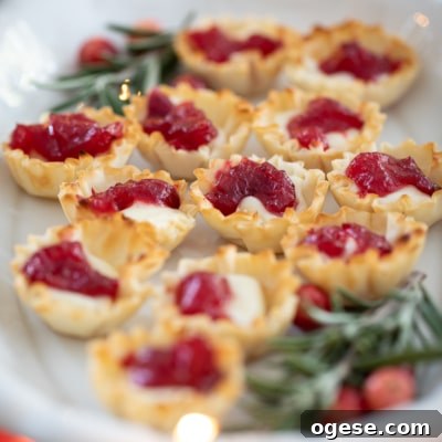 Cranberry Brie Bites on a platter with rosemary.
