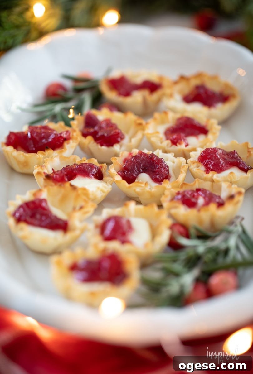 Cranberry Brie Bites on a platter with rosemary.