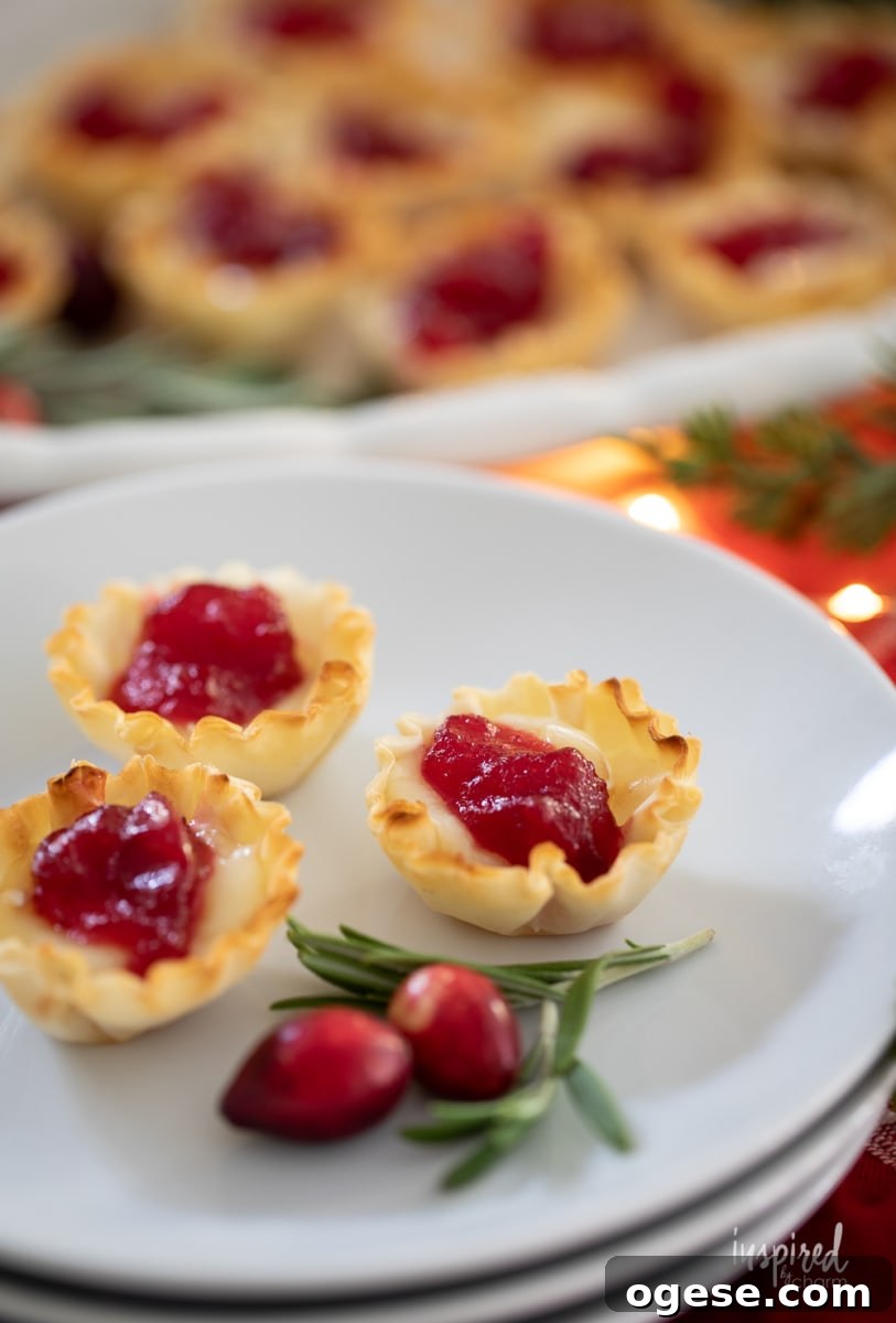 Cranberry Brie Bites on a plate with rosemary.