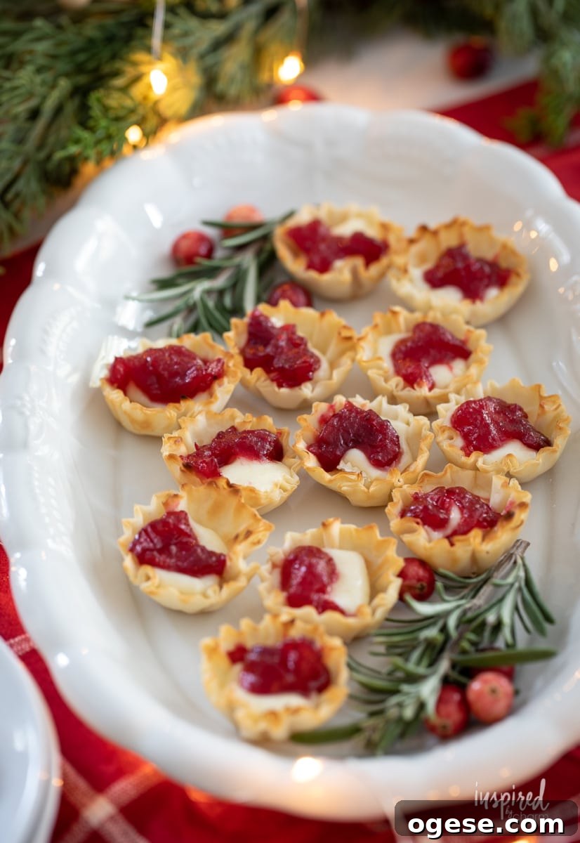 Cranberry Brie Bites on a platter with rosemary.