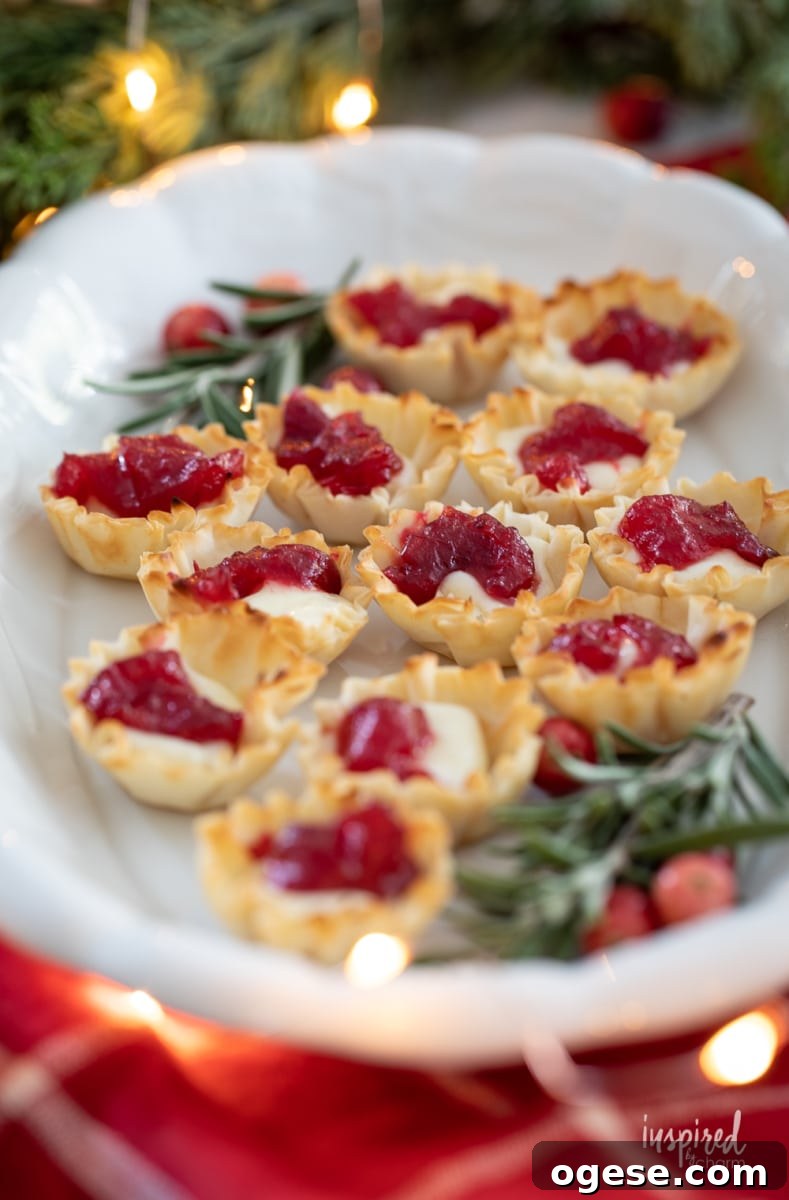 Cranberry Brie Bites on a platter with rosemary.