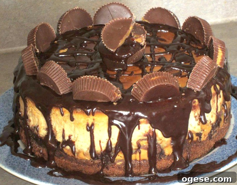 Peanut Butter Cheesecake with Brownie Crust 3 img 3756 2