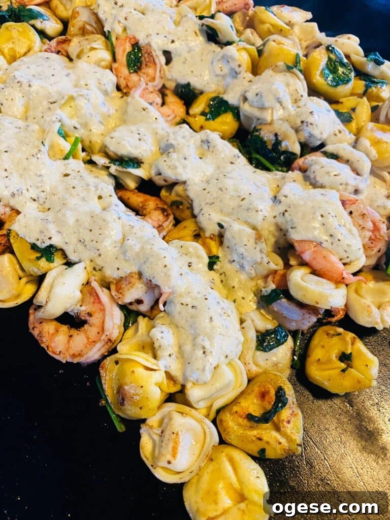 adding the cream sauce over top