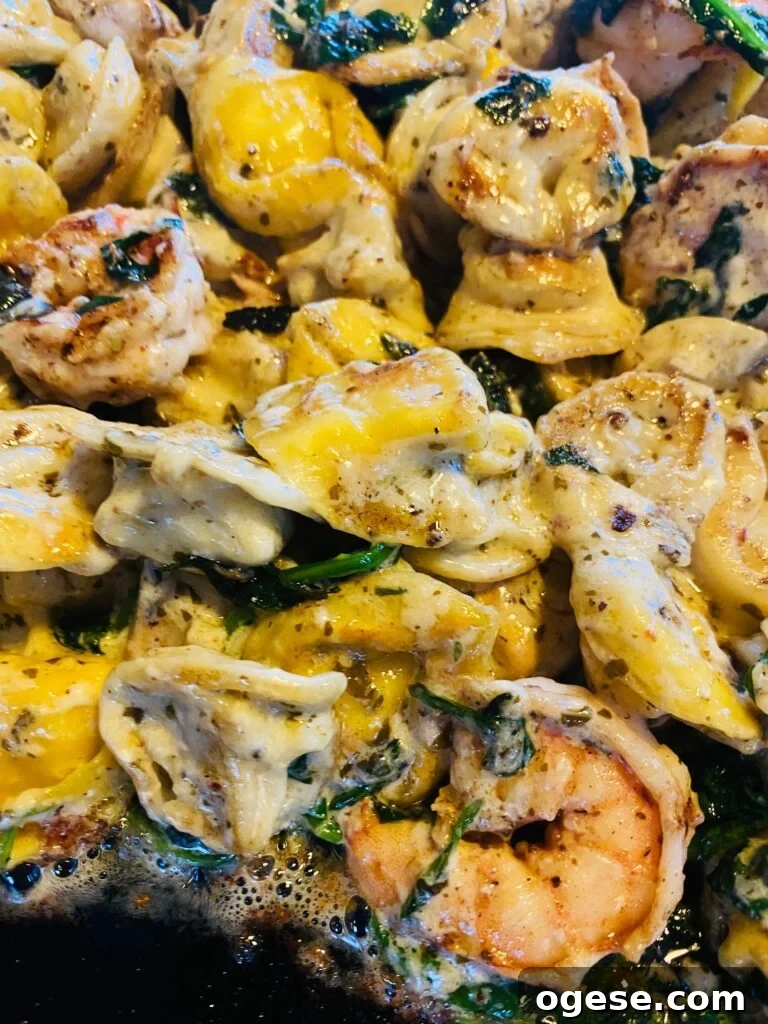 Blackstone Shrimp Tortellini Alfredo