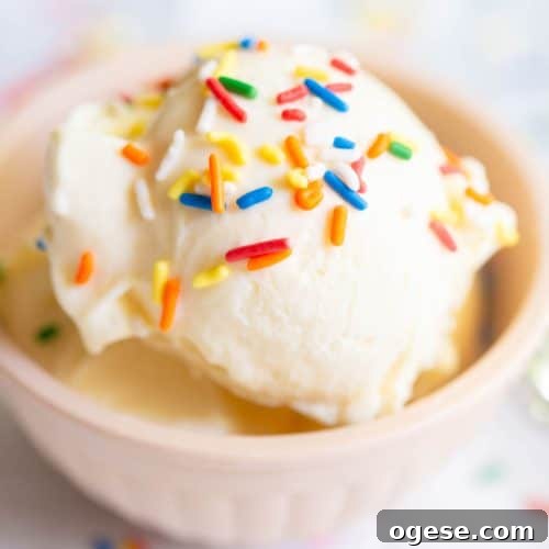 Ninja Creami Cottage Cheese Ice Cream