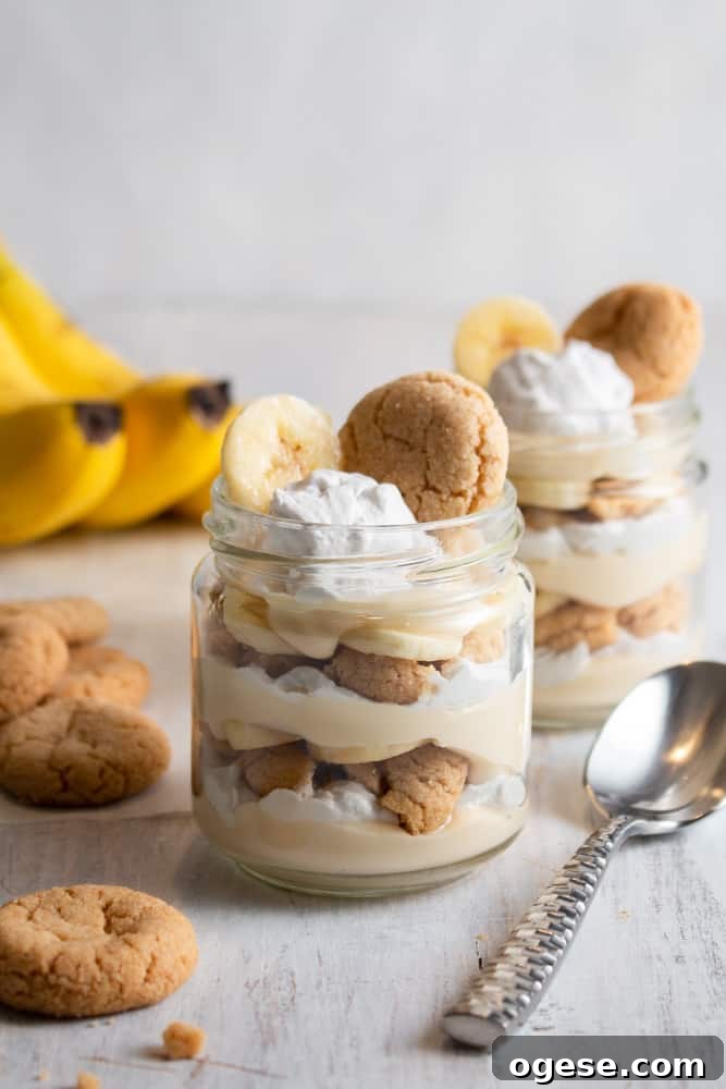This vegan banana pudding is unbelievably quick and easy! Using vegan coconut custard, this no bake banana pudding recipe is the best!