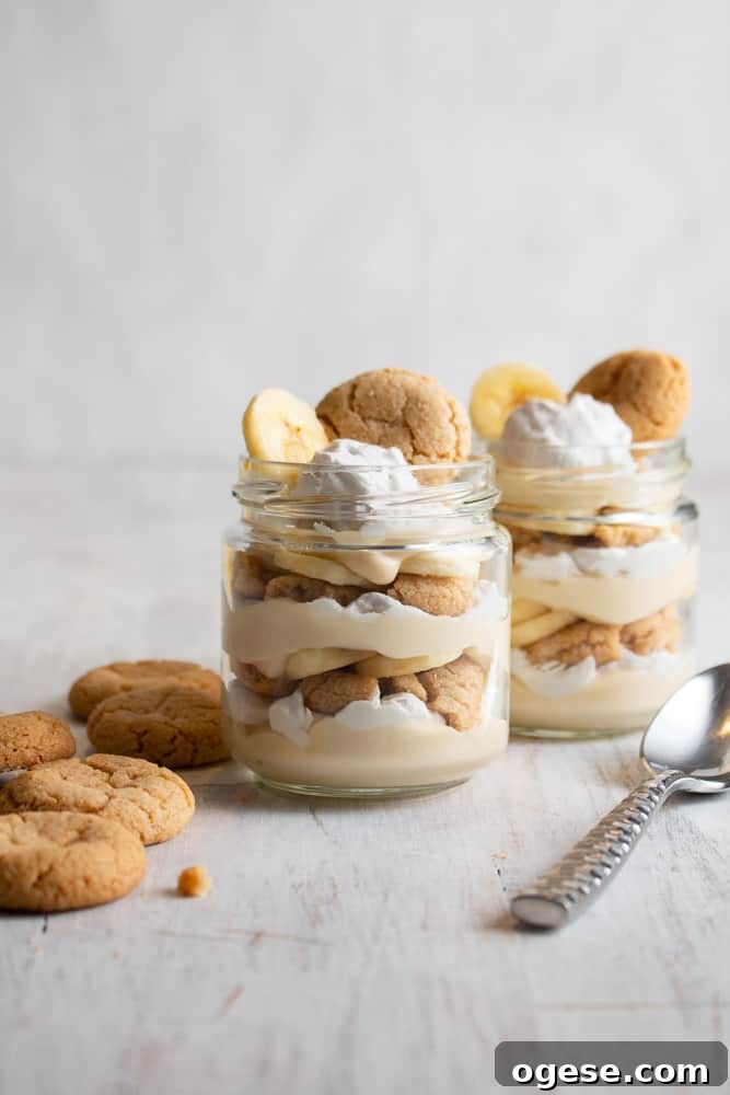 This vegan banana pudding is unbelievably quick and easy! Using vegan coconut custard, this no bake banana pudding recipe is the best!