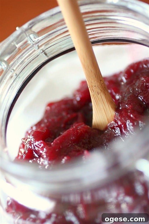 This simple cranberry apple chutney will jazz up your holiday table and give you a break from the same boring canned cranberry sauce.