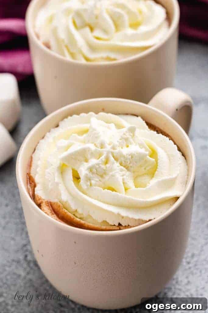Decadent Chocolate Chip Hot Chocolate Recipe 2 Close-up view the cocoa topped with whipped cream.