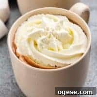 Decadent Chocolate Chip Hot Chocolate Recipe 6 The hot chocolate with chocolate chips in a mug.