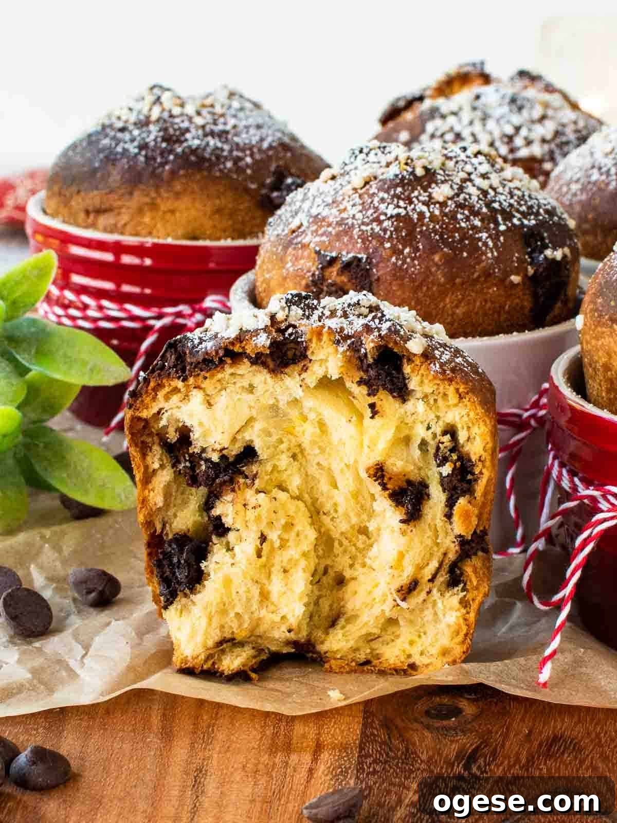 Chocolate Panettone: Decadent Italian Holiday Cake Recipe 2 Chocolate Panettone broken in half showing the inside crumb.