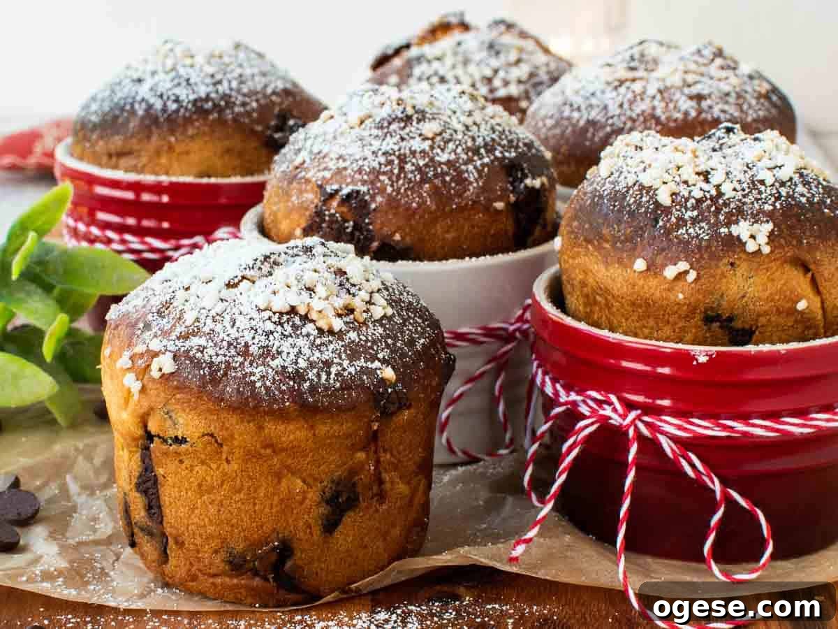 Chocolate Panettone: Decadent Italian Holiday Cake Recipe 6 Small golden brown breads dusted with powdered sugar.
