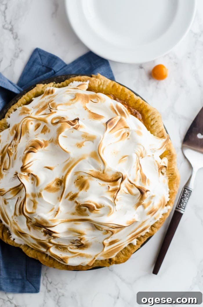 Mile high meringue gooseberry pie. This pie is so delicious and wonderfully unique. A new favorite in our family.