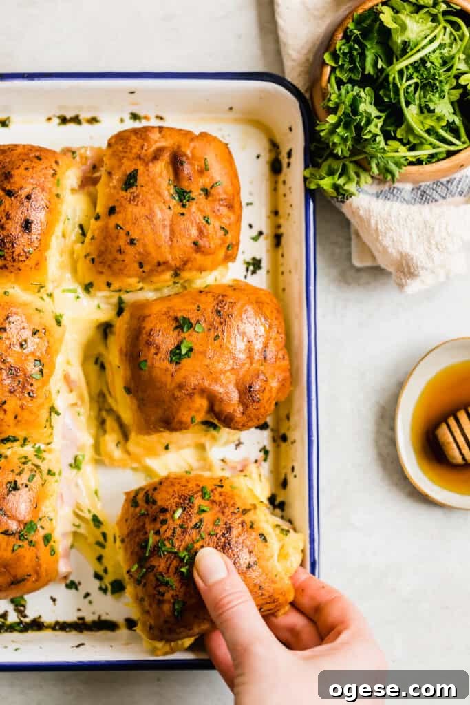 Savory Ham and Swiss Sliders with Honey-Dijon Glaze 7 Six Cheesy Ham Sandwiches in a Navy Blue and White Baking Dish