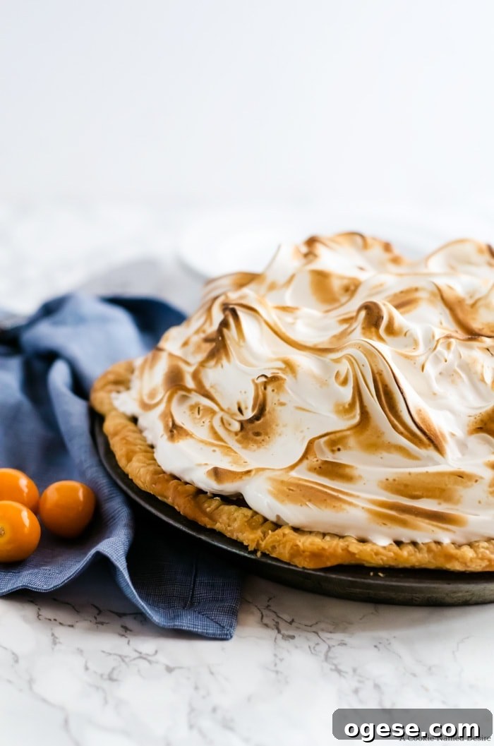 Mile high meringue gooseberry pie. This pie is so delicious and wonderfully unique. A new favorite in our family.
