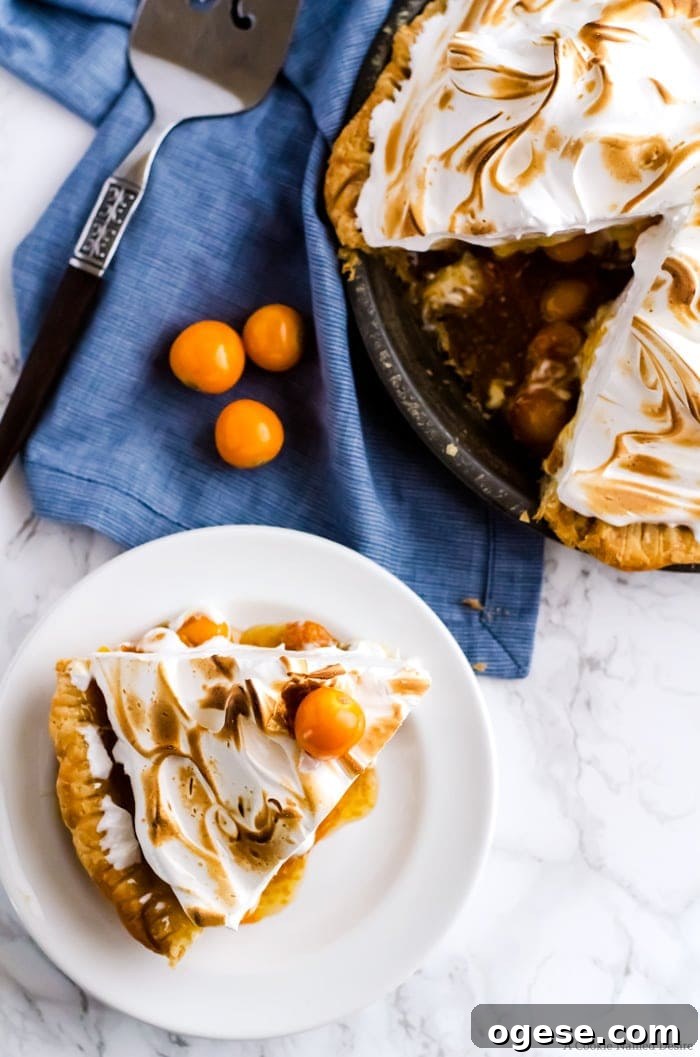 Mile high meringue gooseberry pie. This pie is so delicious and wonderfully unique. A new favorite in our family.