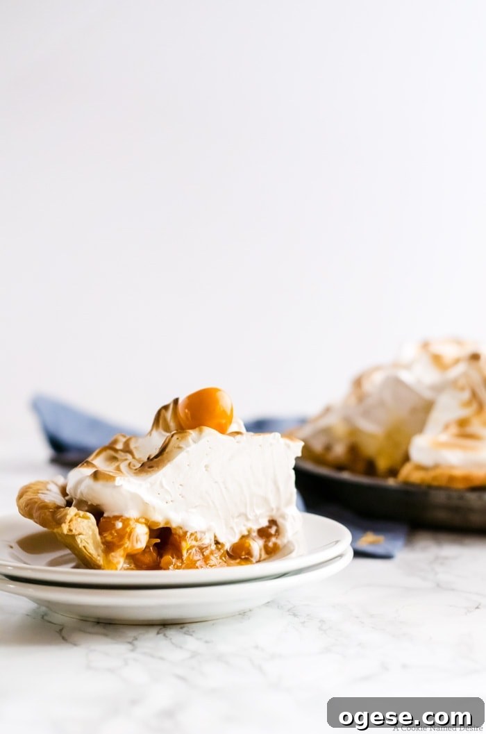 Mile high meringue gooseberry pie. This pie is so delicious and wonderfully unique. A new favorite in our family.