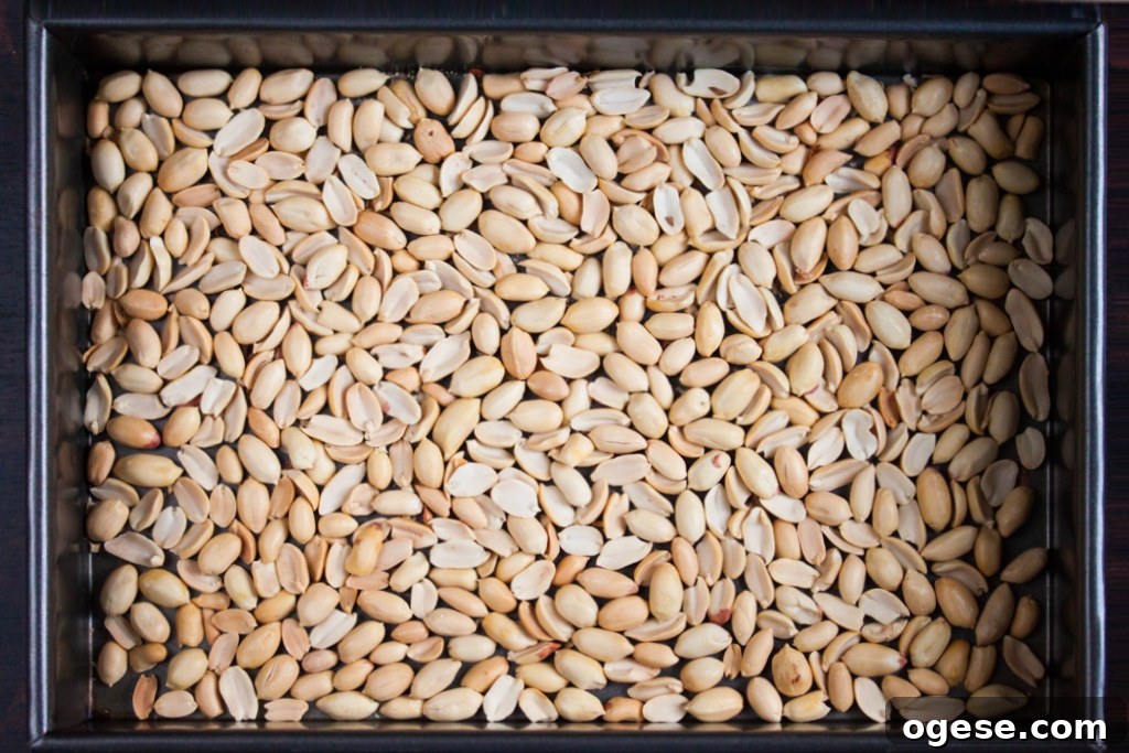 How to Make Creamy Peanut Butter from Roasted Peanuts at Home 3 Peanuts on baking sheet