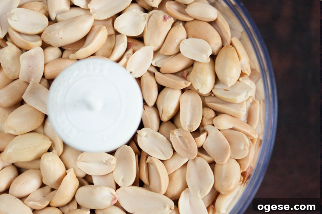 How to Make Creamy Peanut Butter from Roasted Peanuts at Home 4 Toasted peanuts