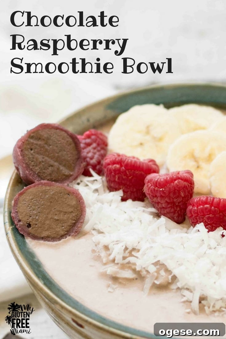Chocolate Raspberry Smoothie Bowl Recipe for Creamy Breakfast Bliss 2 Chocolate Raspberry Smoothie Bowl