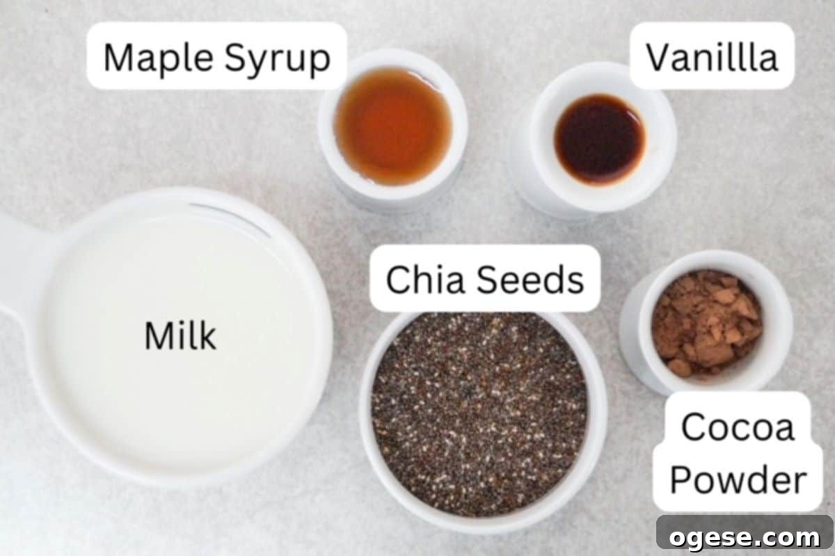 Milk in a white measuring cup, maple syrup in a small dish, vanilla, chia seeds in a bowl, and cocoa powder.