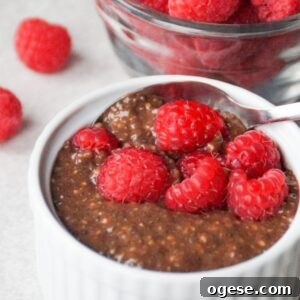 Chocolate chia pudding in a small white ramekin with a spoon and topped with fresh raspberries.