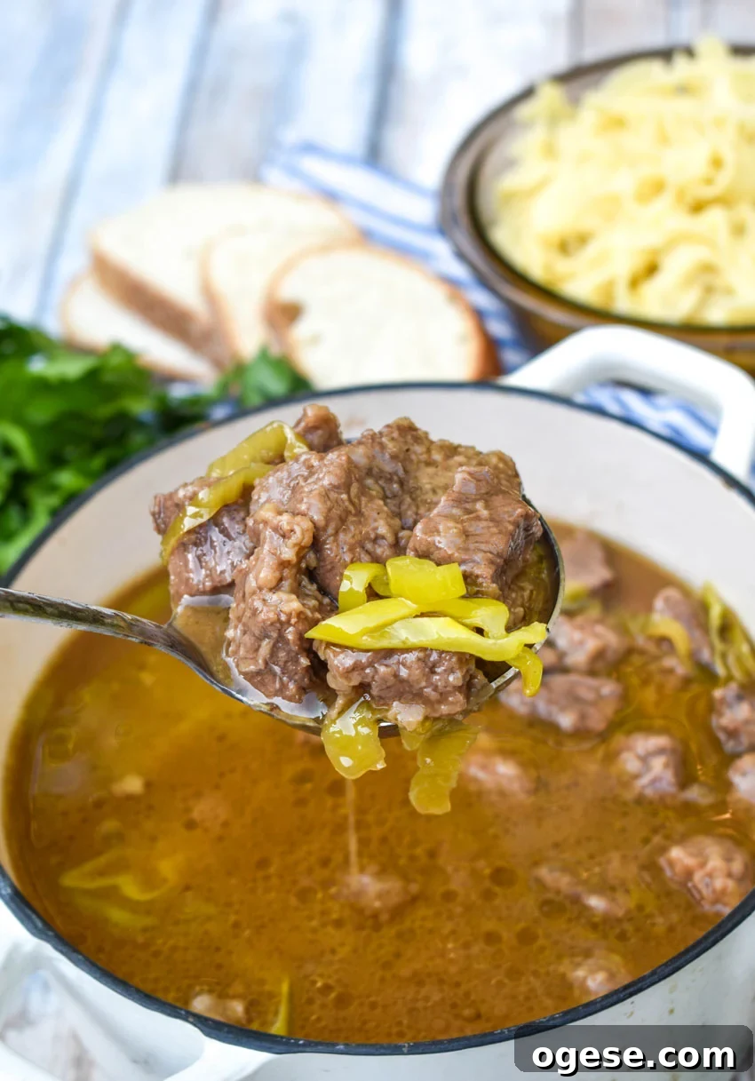 Mississippi Pot Roast Stew Recipe: Slow-Cooked Tender Beef 5 a silver ladle holding up a scoop of Mississippi beef stew