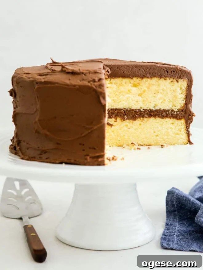 yellow cake with chocolate frosting on a cake stand